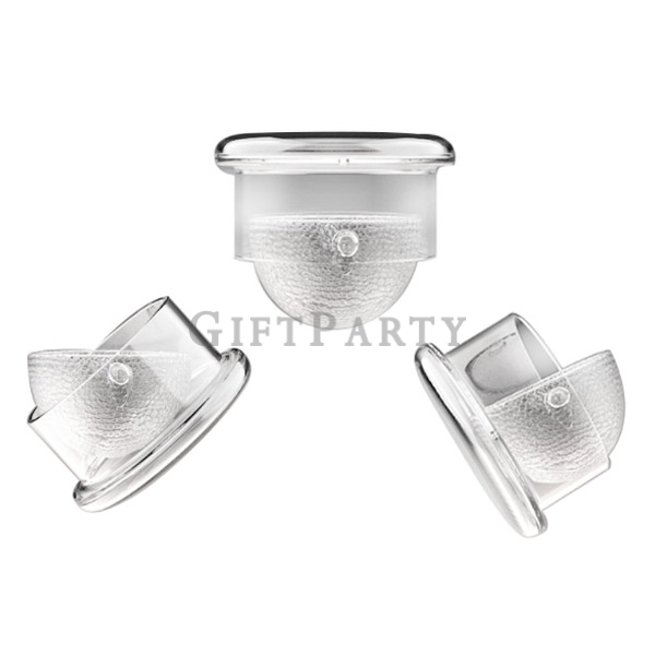 Wide mouth double glass tea bottle infuser,廣口玻璃泡茶杯便攜組