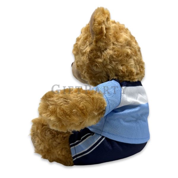 客製泰迪熊制服熊,客製泰迪熊, 制服熊客製, 畢業紀念品推薦, 航空制服熊, 學校週邊開發, 畢業熊,畢業禮品,